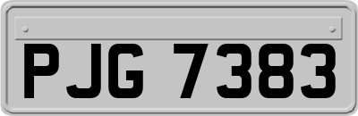 PJG7383