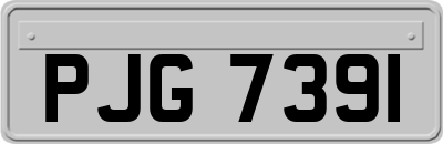 PJG7391