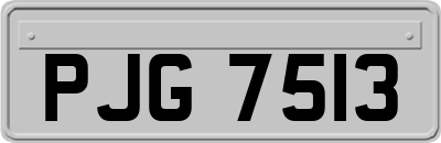 PJG7513
