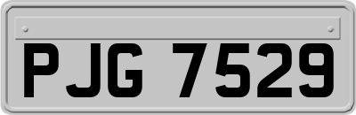 PJG7529