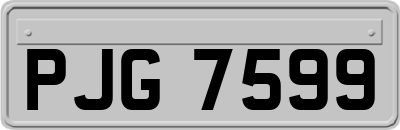PJG7599