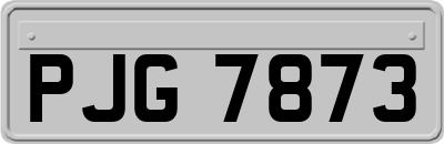 PJG7873