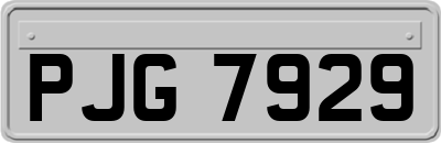 PJG7929