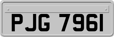 PJG7961
