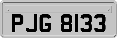 PJG8133