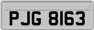 PJG8163