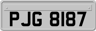PJG8187