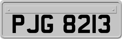 PJG8213