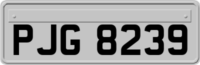 PJG8239