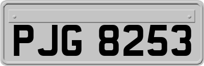 PJG8253