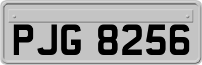 PJG8256