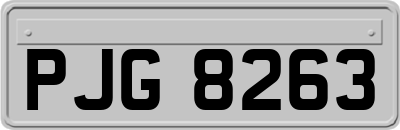 PJG8263