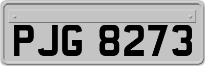 PJG8273