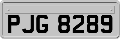 PJG8289