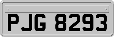 PJG8293