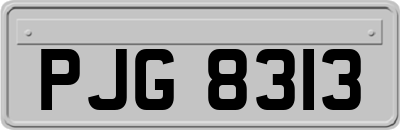 PJG8313