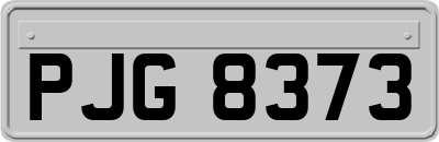 PJG8373
