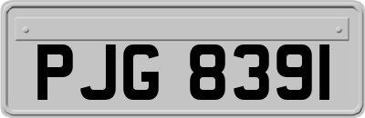 PJG8391