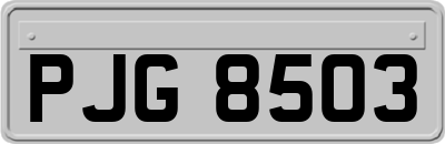 PJG8503