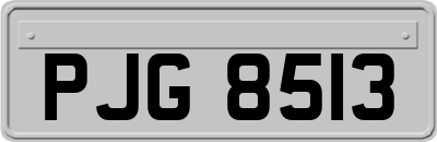 PJG8513