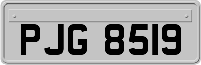 PJG8519