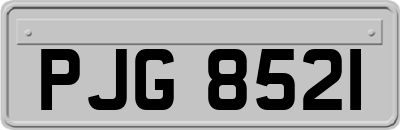 PJG8521