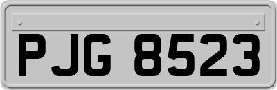 PJG8523