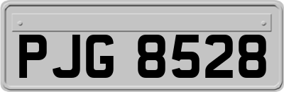 PJG8528