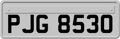 PJG8530