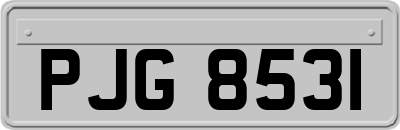 PJG8531