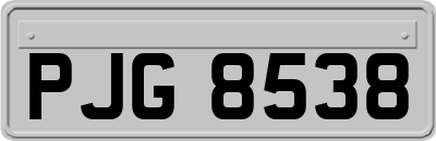 PJG8538