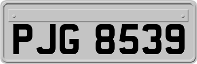 PJG8539