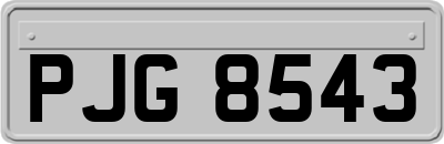 PJG8543