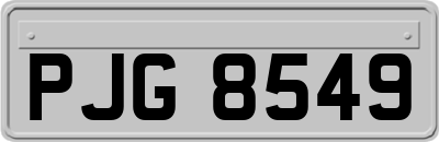 PJG8549
