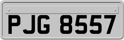 PJG8557