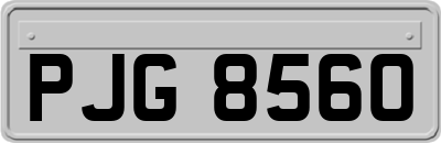 PJG8560