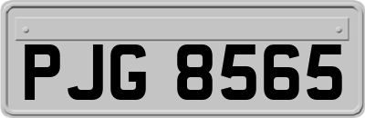 PJG8565