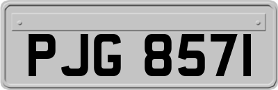 PJG8571