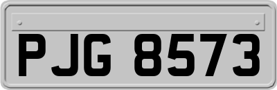 PJG8573