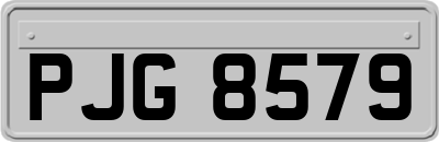PJG8579