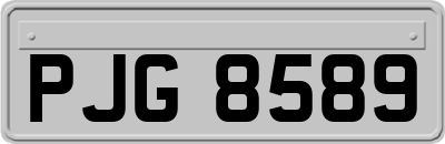 PJG8589