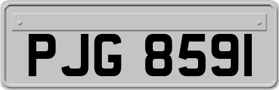PJG8591