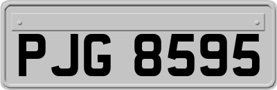 PJG8595