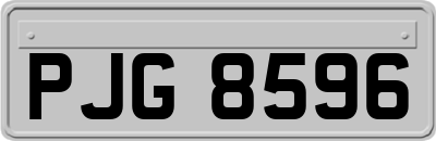 PJG8596