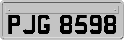 PJG8598