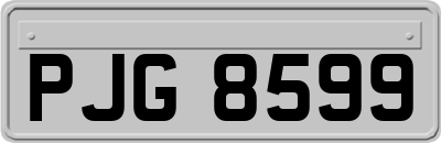 PJG8599