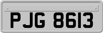 PJG8613