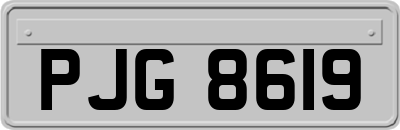 PJG8619