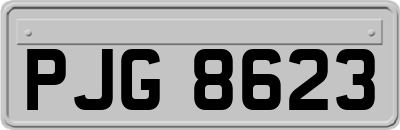 PJG8623