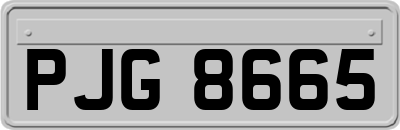 PJG8665